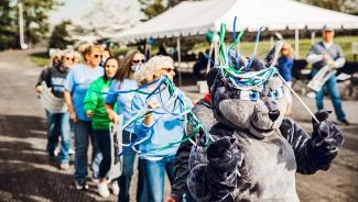 Wolf in Parade with pom poms